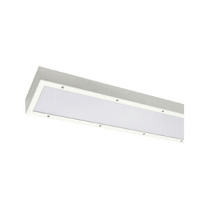 A photo of Trend-S surface-mounted anti-vandal luminaire with fabricated sheet metal housing, fully welded construction and anti-tamper fixings.
