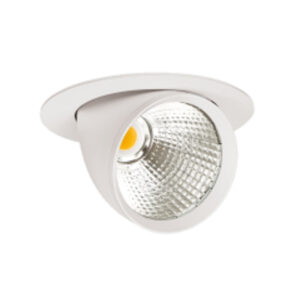 Photo of Capri-165 downlight in white.