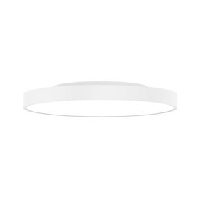 A photo of a white Oreo surface-mounted circular architectural LED downlight with a low-profile tiered cylinder body and a wide flat opal diffuser.